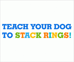 Brain Training 4 Dogs